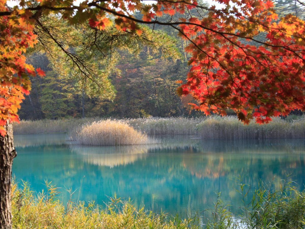 Urabandai Lake Resort Goshiki No Mori Kitashiobara Экстерьер фото